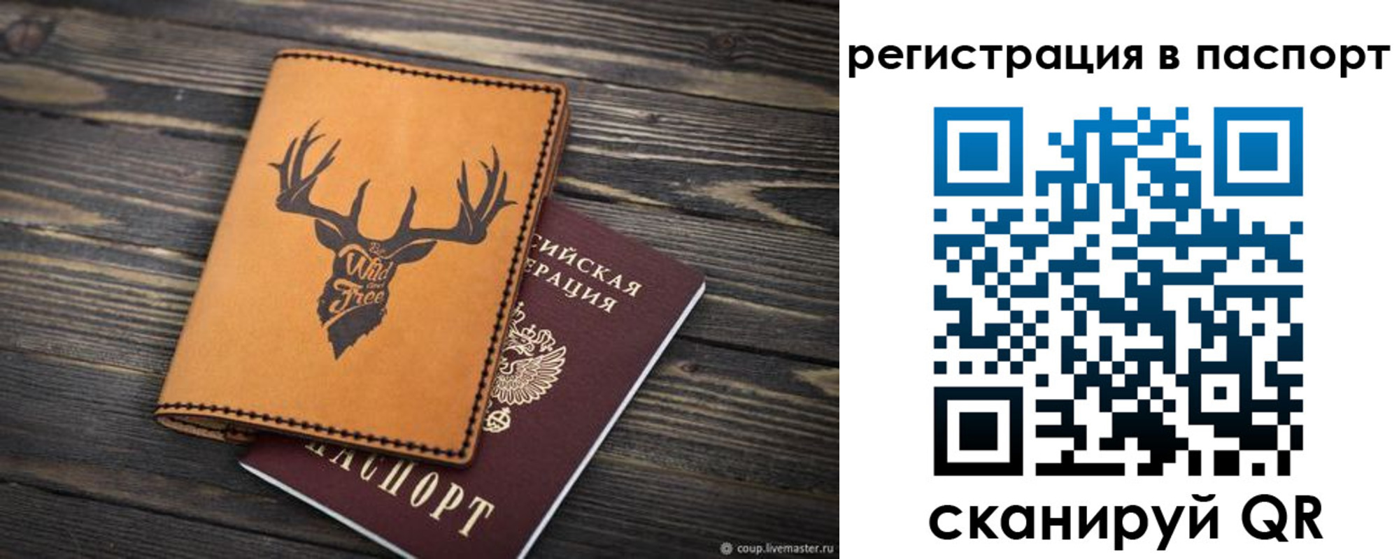 прописка паспорт в Петропавловске-Камчатском