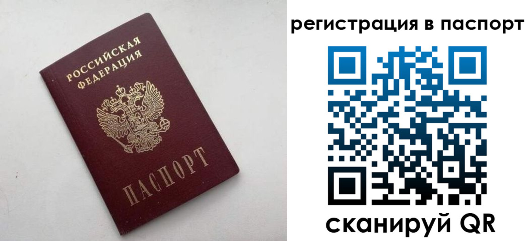 временная регистрация 2025 в Петропавловске-Камчатском